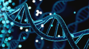 An Overview of the RCCX Gene Theory